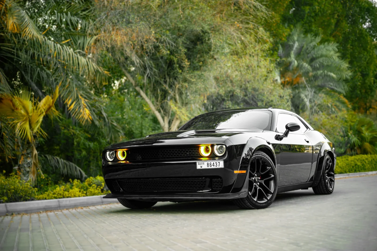 Loyer Dodge Challenger  Noir 2022 en Dubai