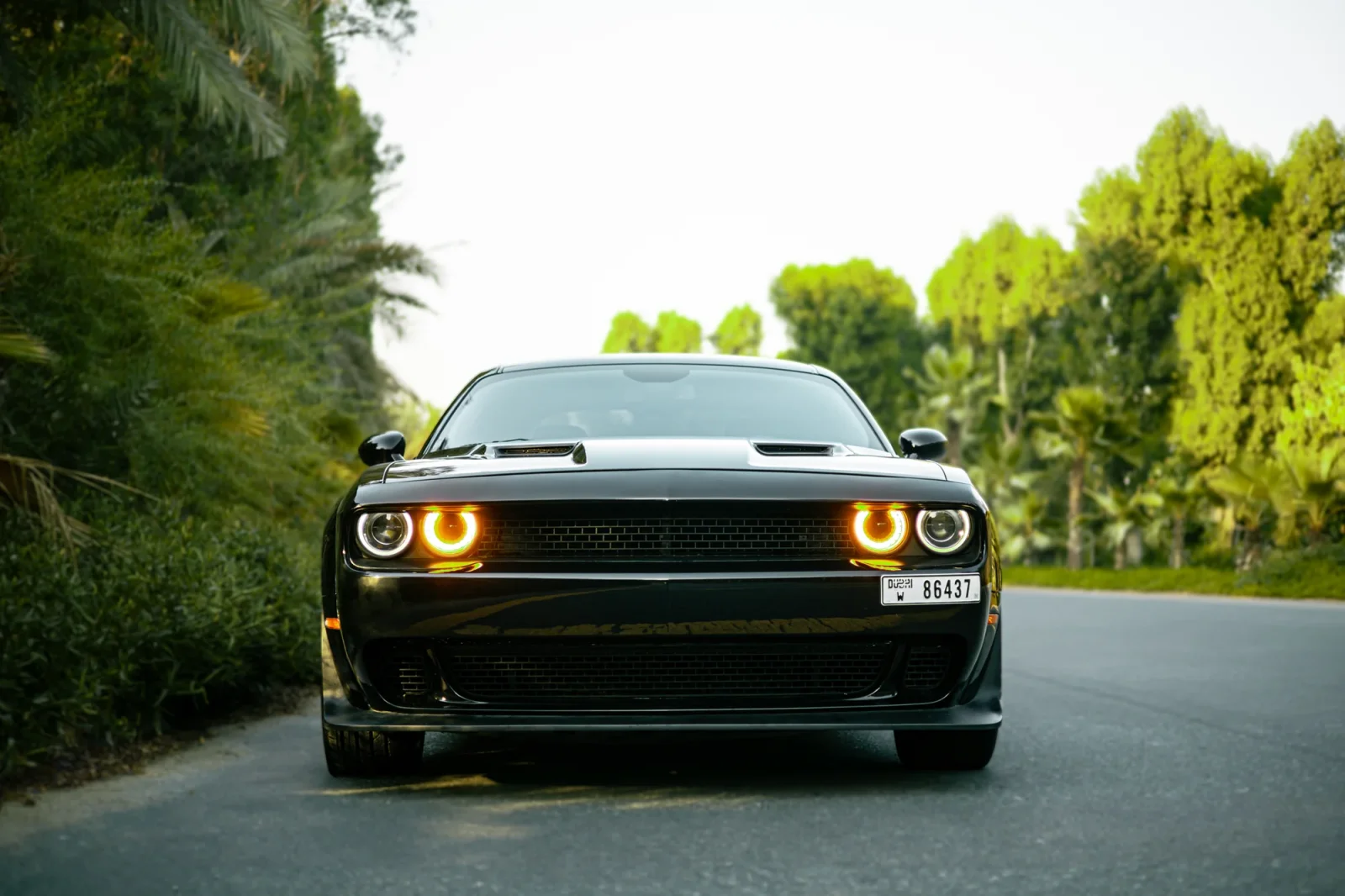 Loyer Dodge Challenger  Noir 2022 en Dubai - 6 