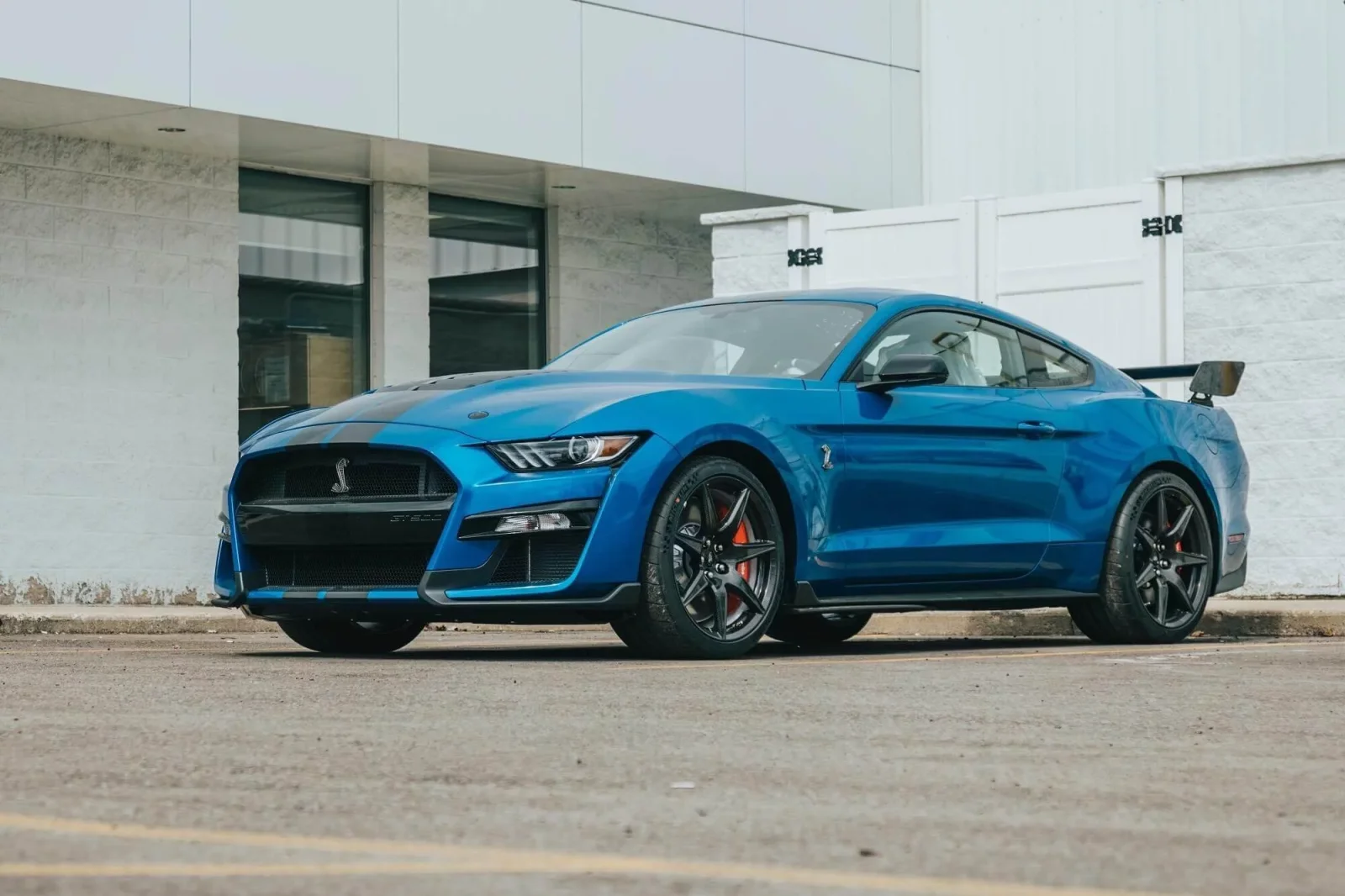 Miete Ford Mustang GT 500 Blau 2021 in der Dubai