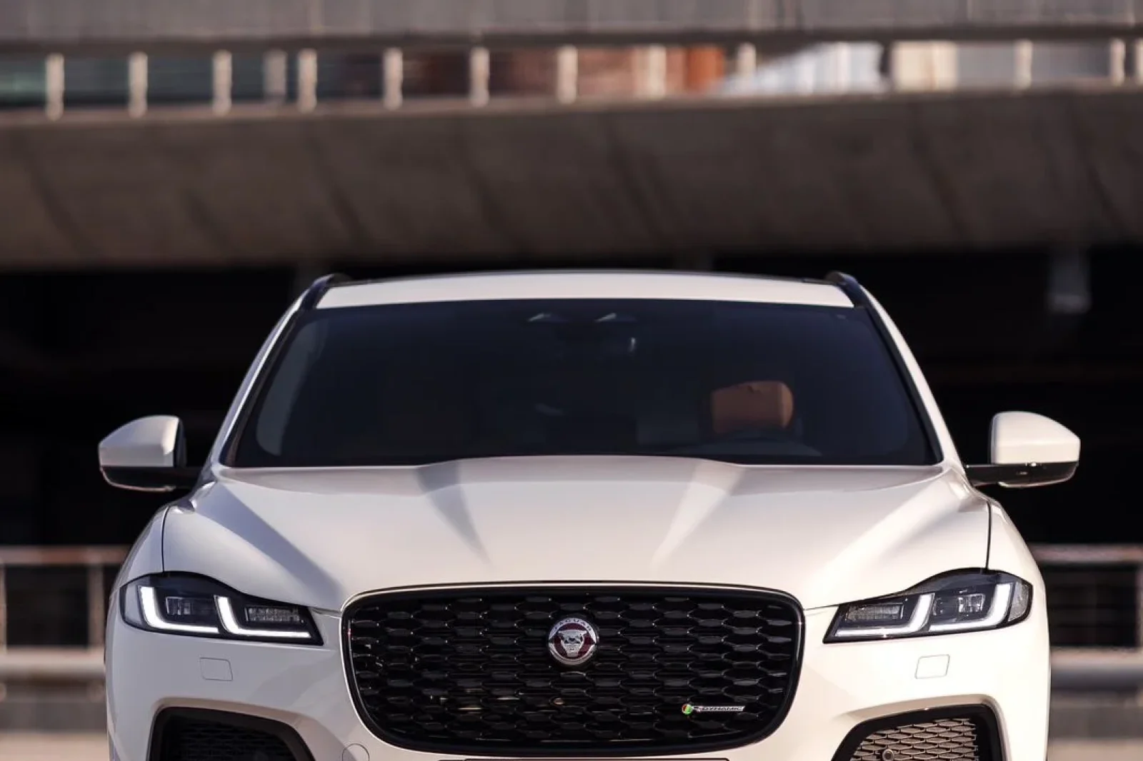 Аренда Jaguar F-Pace  Белый 2024 в Дубае