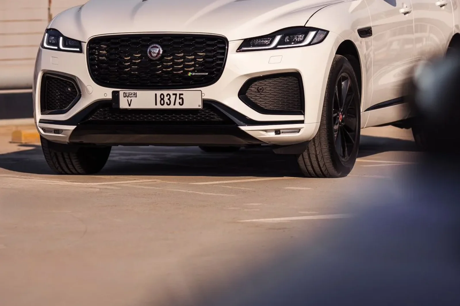 Аренда Jaguar F-Pace  Белый 2024 в Дубае