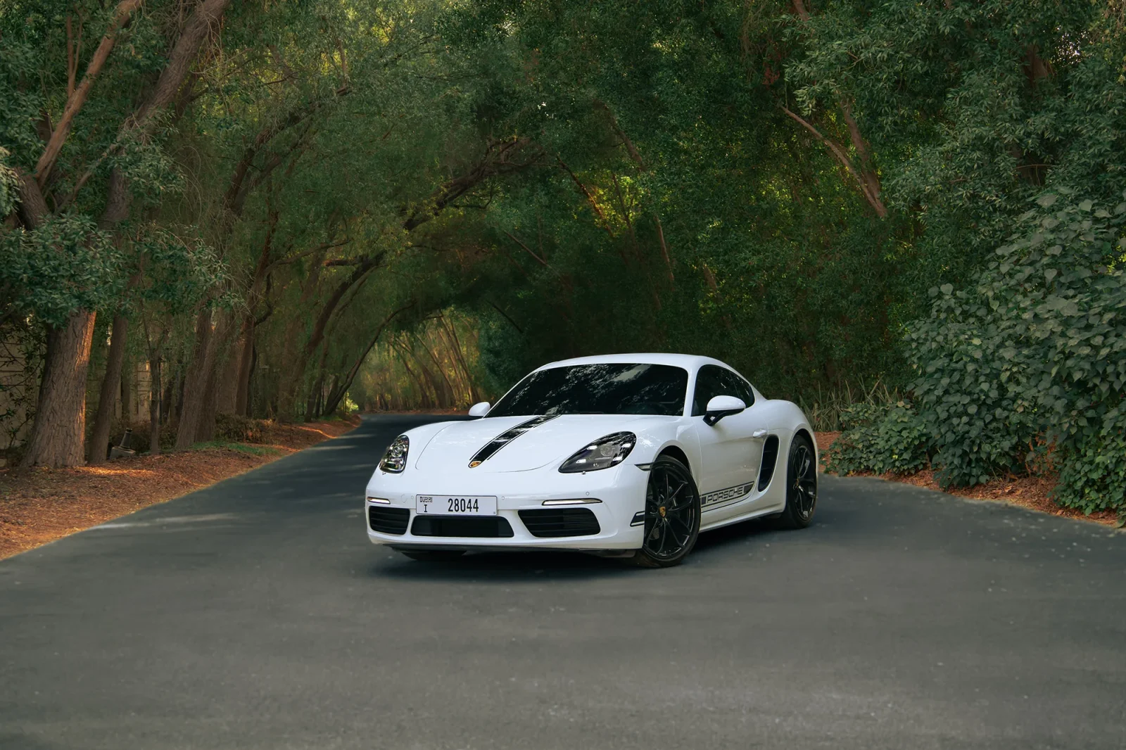 Rent Porsche Cayman  White 2024 in Dubai