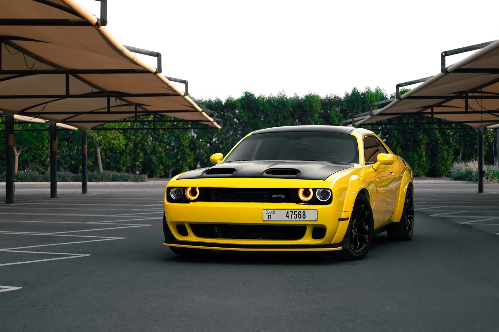 Rent Dodge Challenger R/T Scat Pack Yellow 2022 in Dubai