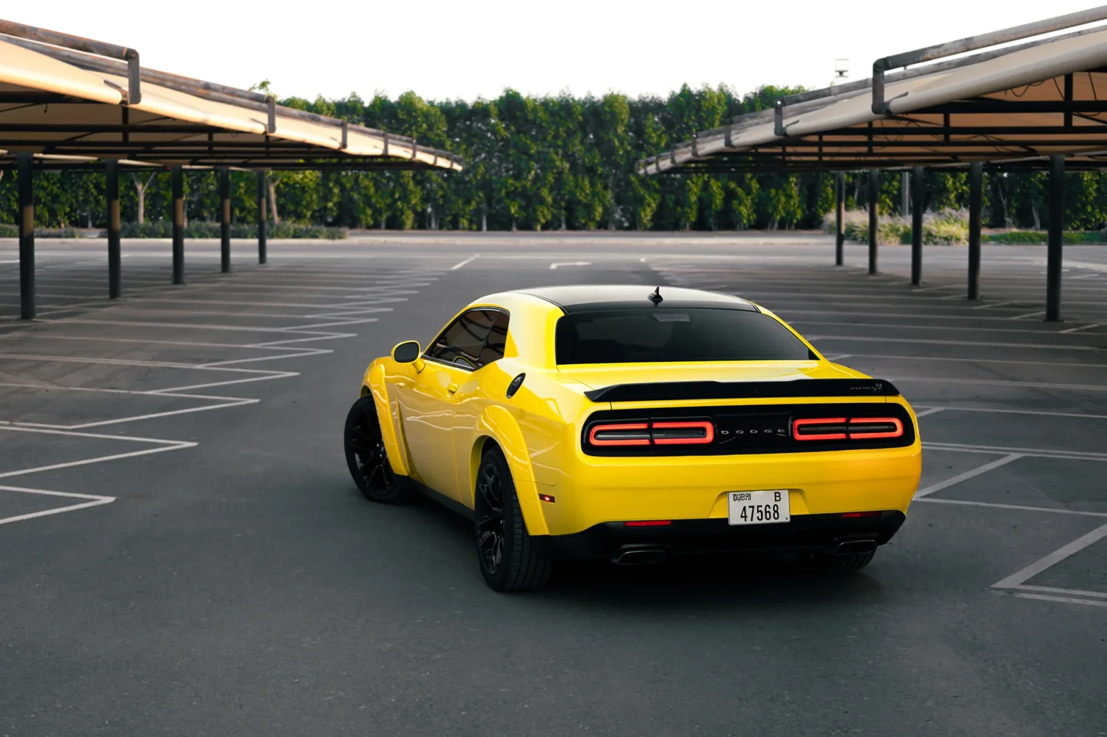 Rent Dodge Challenger R/T Scat Pack Yellow 2022 in Dubai - 9 