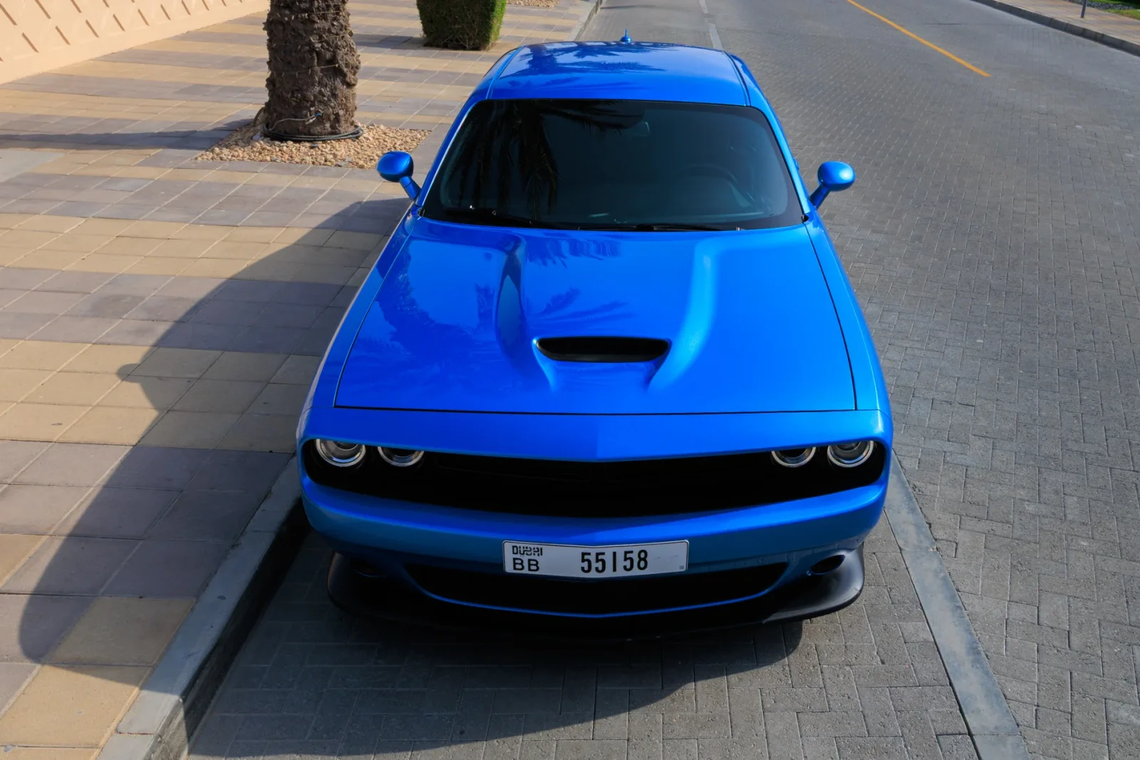 Miete Dodge Challenger GT Blau 2023 in der Dubai - 11 