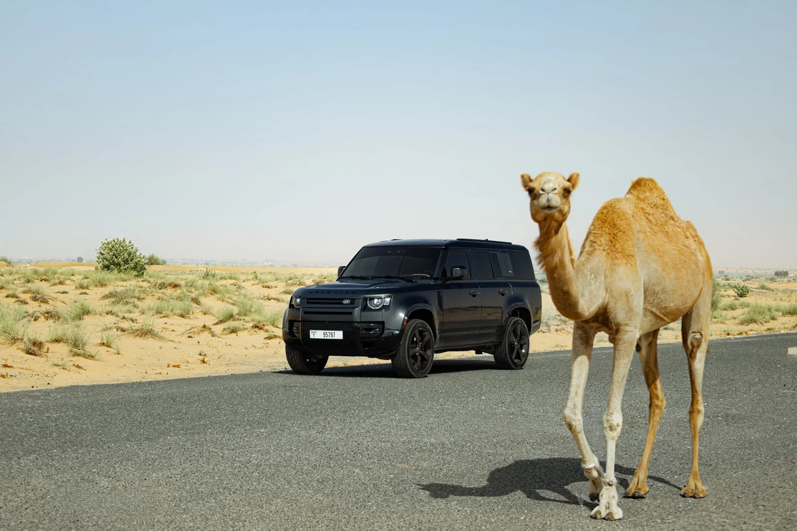 Affitto Land Rover Defender 130  Grigio 2024 in Dubai - 12 