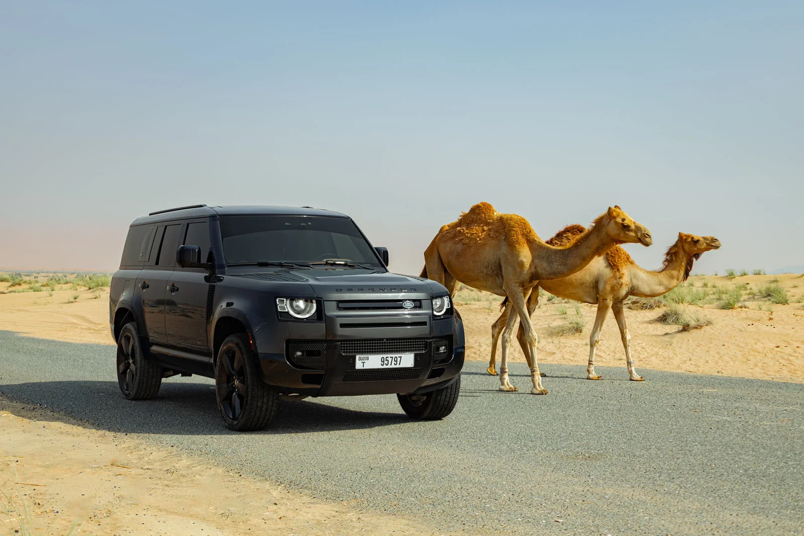 Affitto Land Rover Defender 130  Grigio 2024 in Dubai - 11 