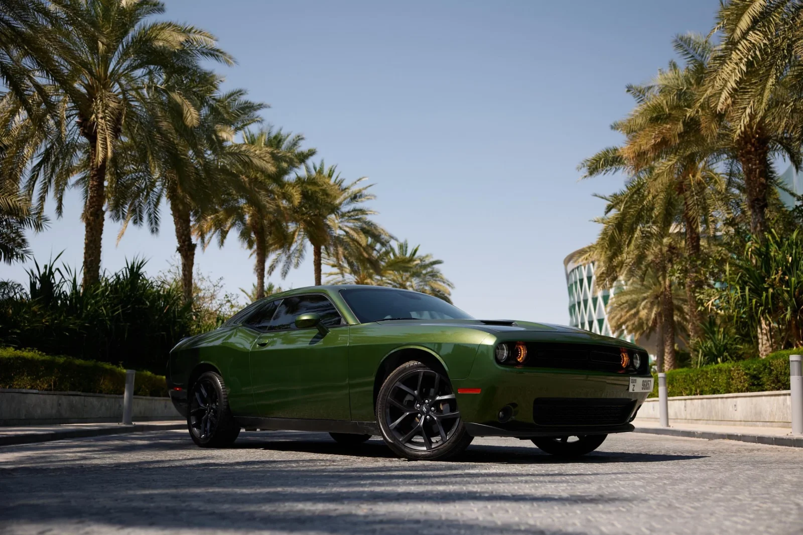 Kiralık Dodge Challenger  Yeşil 2021 içinde Dubai