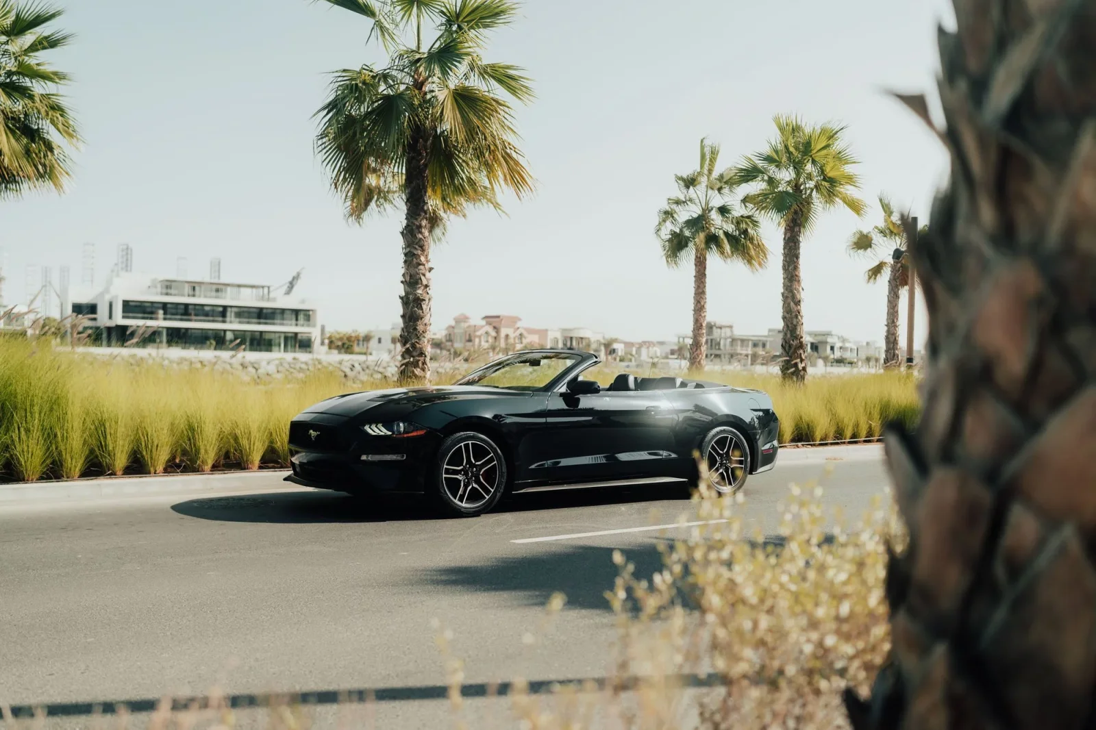 Kiralık Ford Mustang  Siyah 2021 içinde Dubai