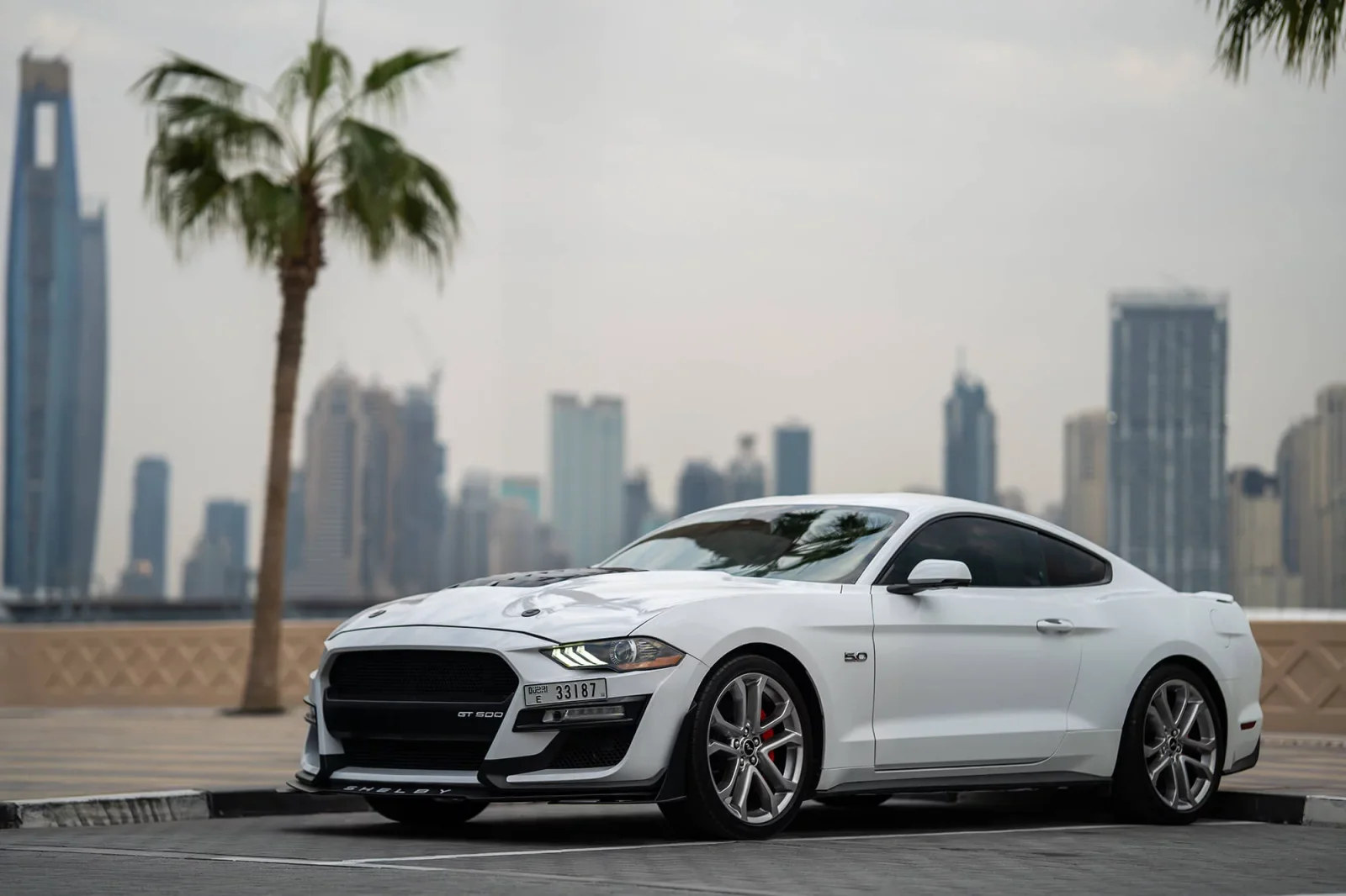 Miete Ford Mustang GT Weiß 2022 in der Dubai